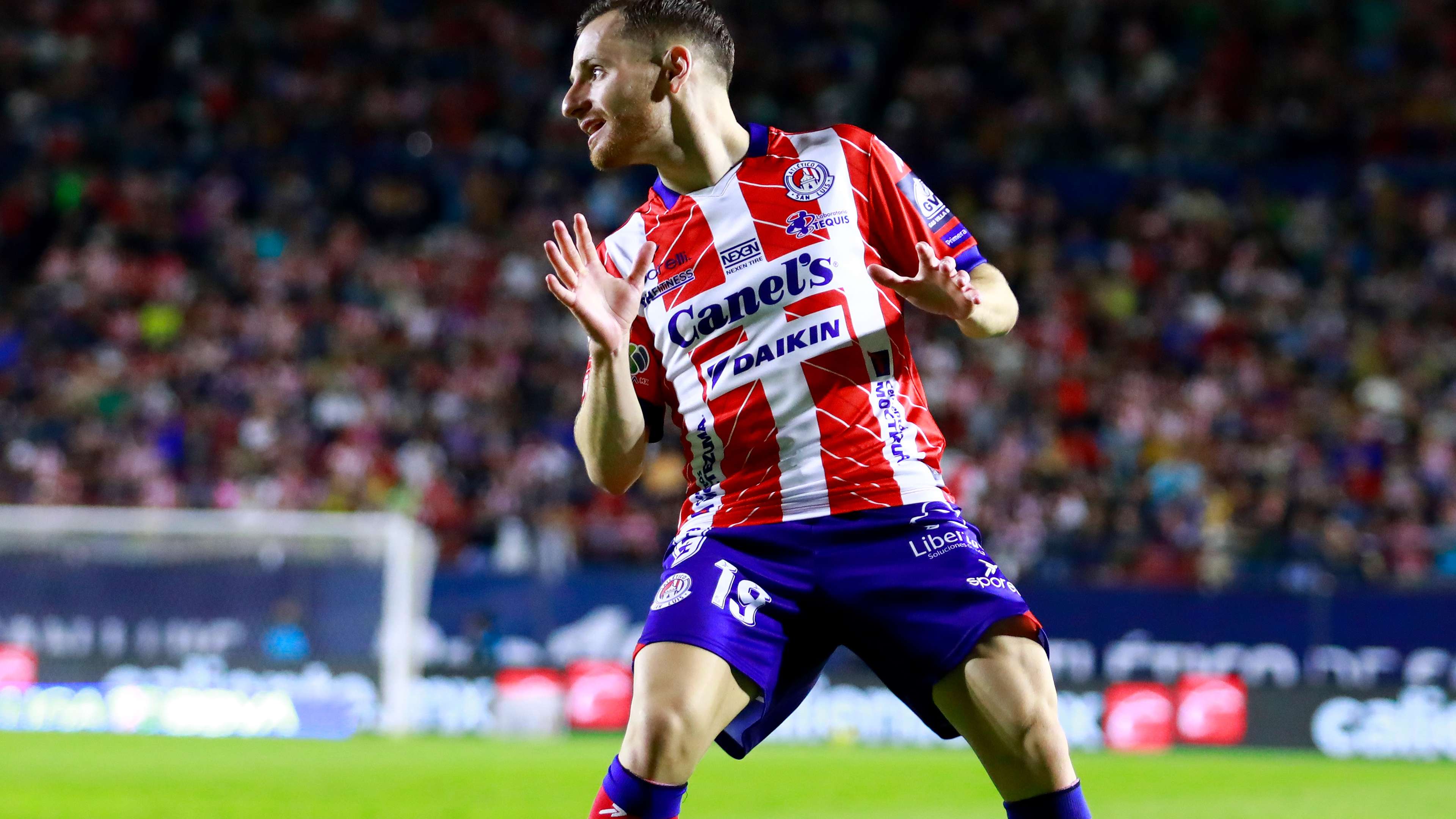 这种分歧使 这种分歧使