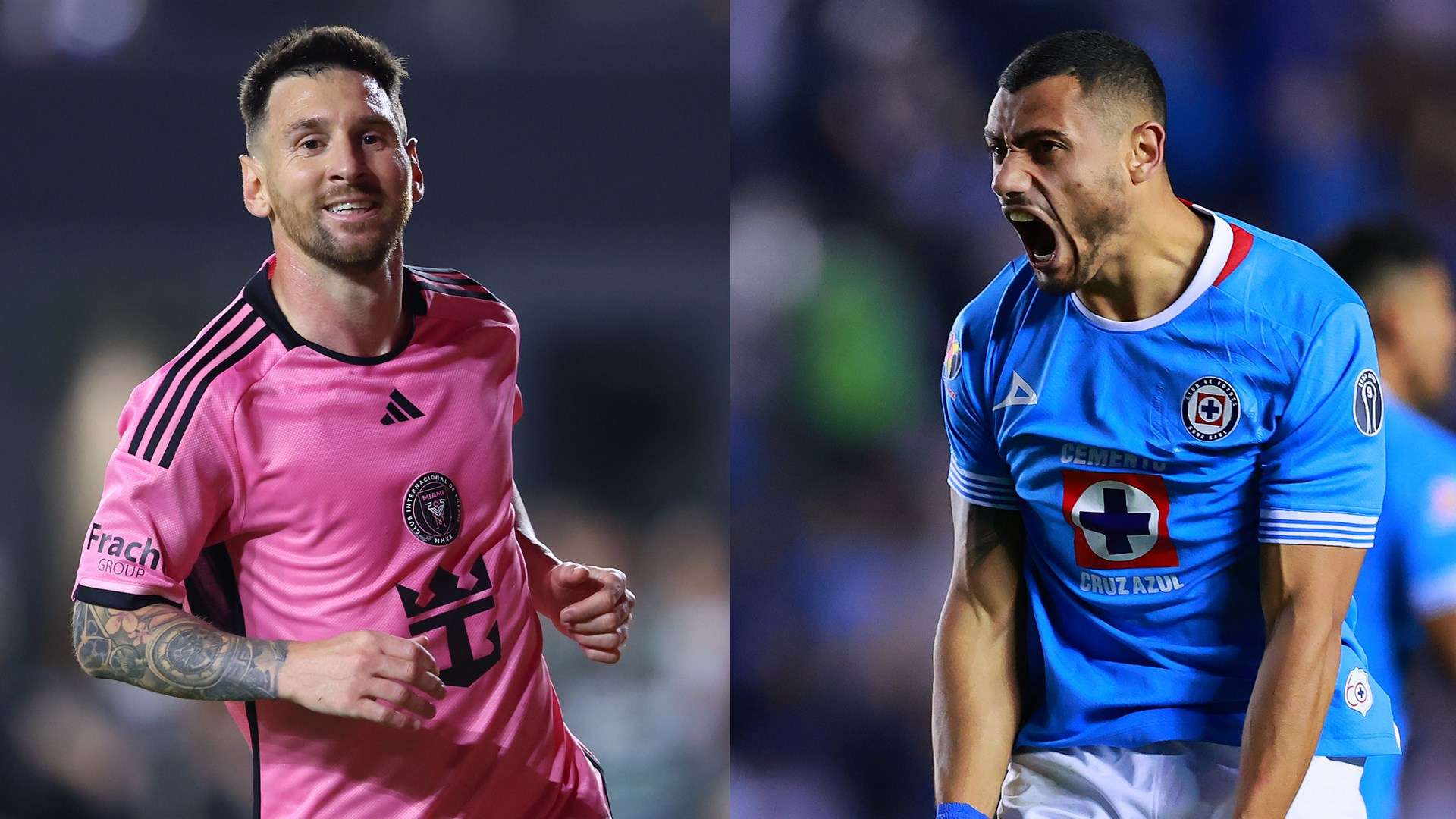 旨在为新人 旨在为新人